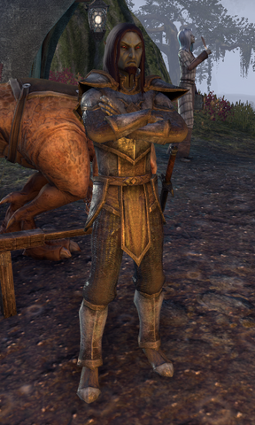 File:Roneril the Mercenary.png