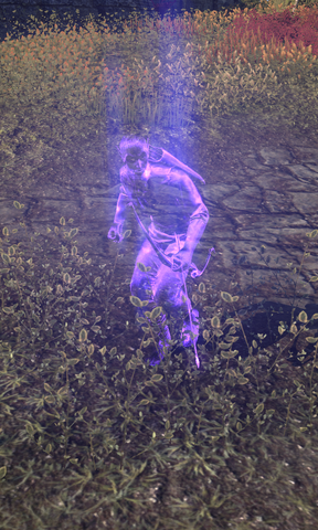 File:Selfora Priest.png