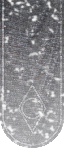 File:TESV Banner ThievesGuild.png