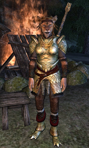 File:Ayisha.png
