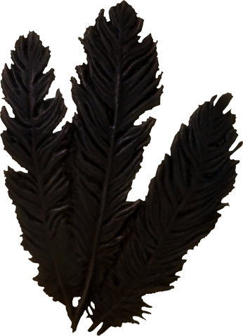 File:Hagraven feathers.png