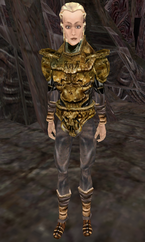 File:Ringvild.png