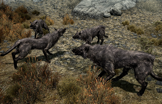 File:Pack of Pit Wolves.png