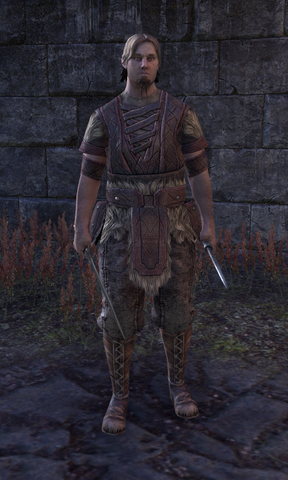 File:Nord Envoy 1.png