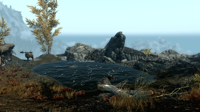 File:TESV Clearspring Tarn.png