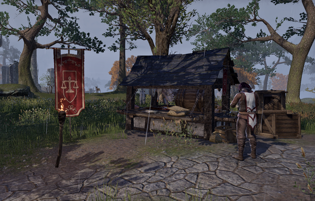 File:Guild Store (The Storm Route Stall).png