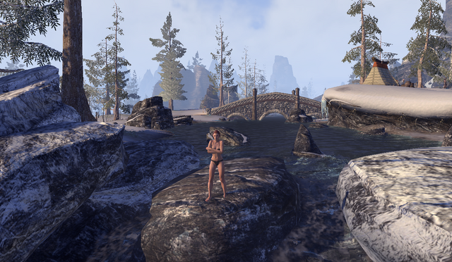 File:Snow bear plunge1.png