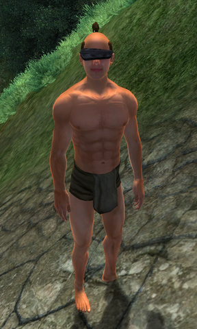 File:Vamp Chow.png