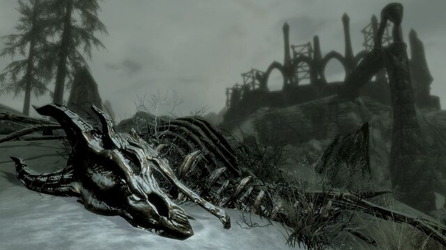 File:DragonSkeleton Dragonborn Screen.jpg