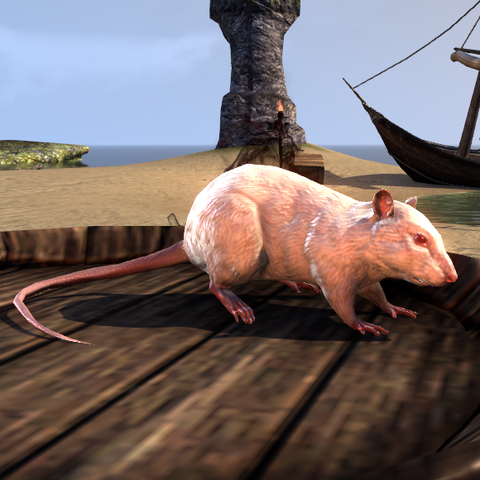File:Rat.png