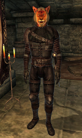 File:Dark Brotherhood Murderer Khajiit.png