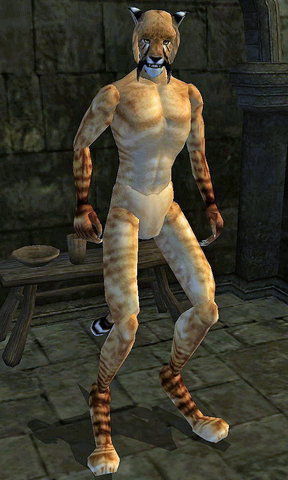File:Dro'zharim.png