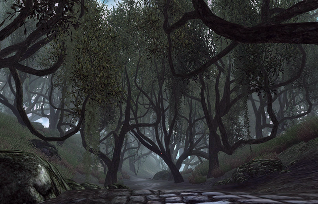 File:Madgod's Boot Nature.png