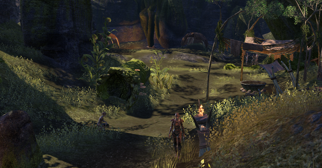 File:Silvenar Chasm (Online).png