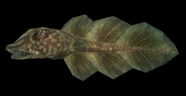 File:Small Slaughterfish.jpeg