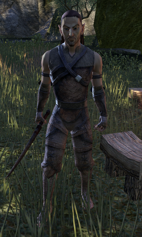 File:Bramblebreach Militia.png
