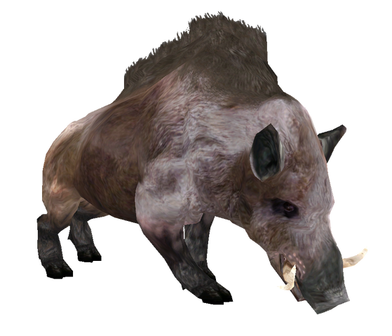 File:Beast Oblivian boar.png