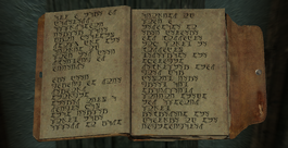 Gallus EncJournal p5
