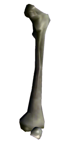 File:Bones Big Bone.png