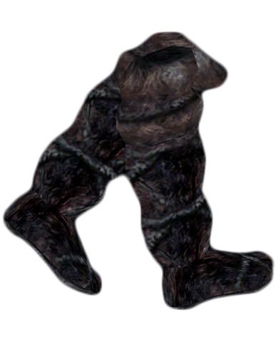 File:Snow Wolf Boots.png