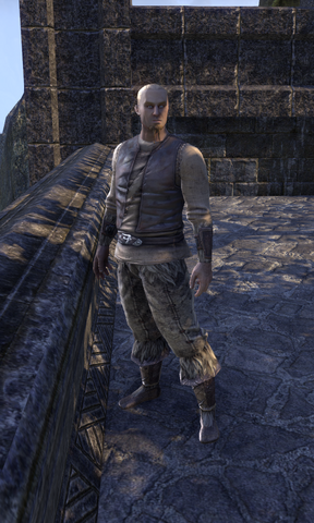 File:Barro Strong-Metal.png