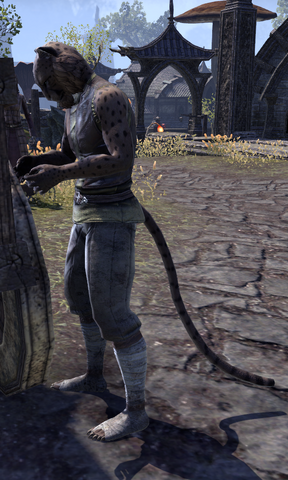 File:Quiet-Paws.png