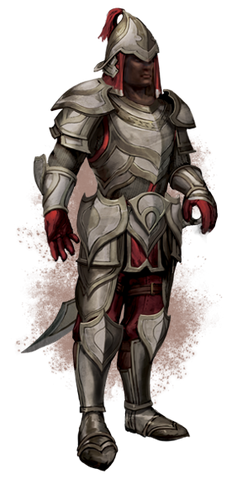 File:Redgaurd heavy armor.png