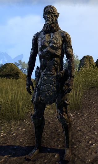 File:Hollow Guardian.png
