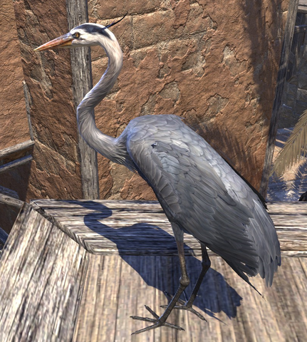 File:Heron.png