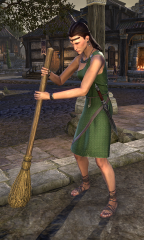 File:Pulcheria Berne.png