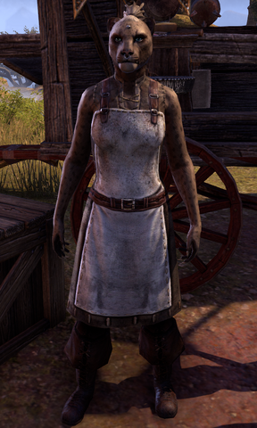 File:ESO Shasirba.png