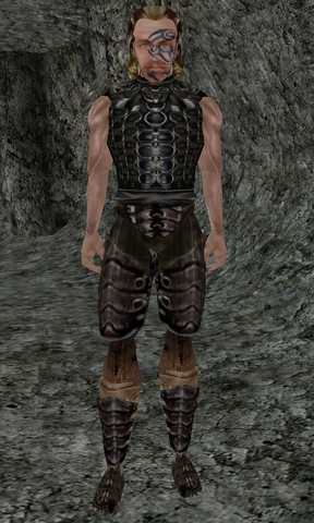 File:Sjarnfid.png