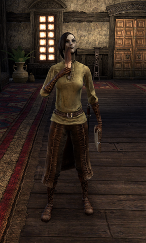 File:DrivanasGilvilo.png