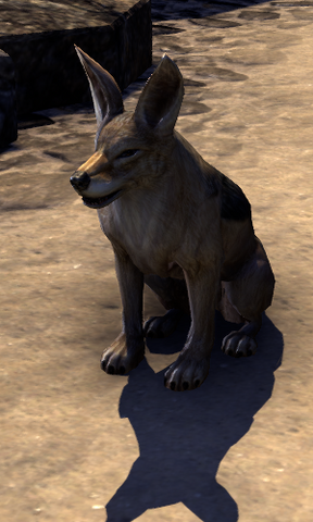 File:ESO Jackal.png