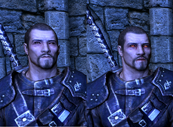 Dawnguard faces.png