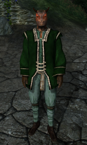 File:TESIV Test Ken's Tester.png