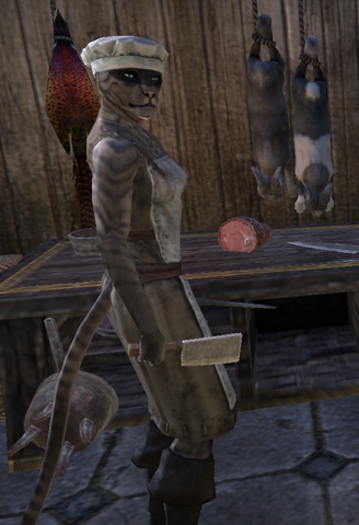 File:Fishcatcher.png