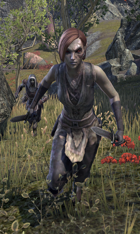 File:Maulborn Rogue.png