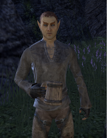 File:Skywatch Celebrant.png