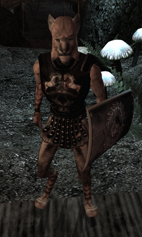 File:Jhanir.png