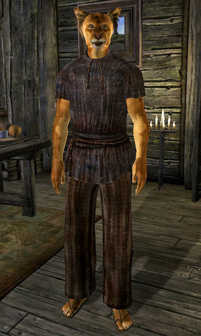 File:J'zin-Dar.png