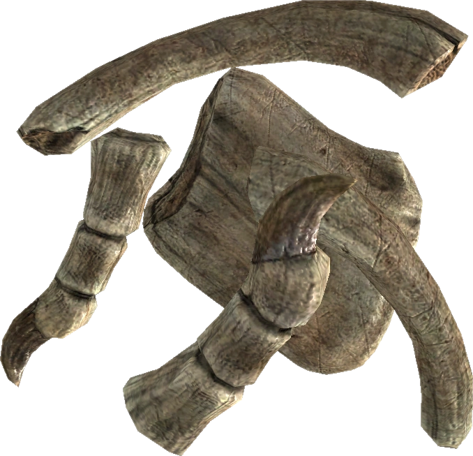 Dragon Bone | Elder Scrolls | FANDOM powered by Wikia