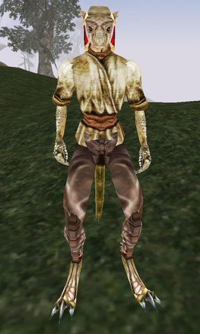 File:Travelling-New-Woman.png