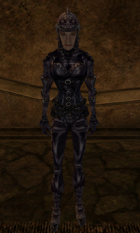 File:Domina armor.png