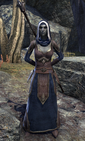 File:Instructor Ninla.png