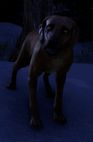 File:Rexus dark.png