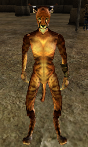 File:Pretty Kitty.png
