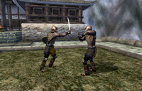Cloud Ruler Temple Training