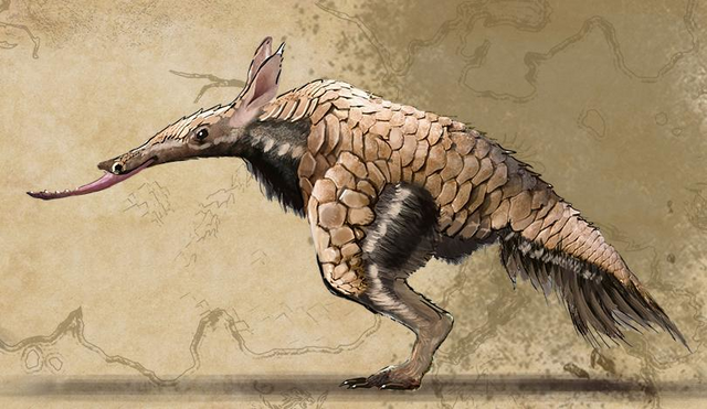 File:Vvardvark Concept Art.png
