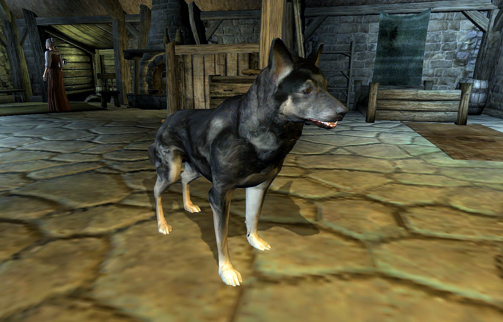 elder scrolls oblivion raining fire dogs